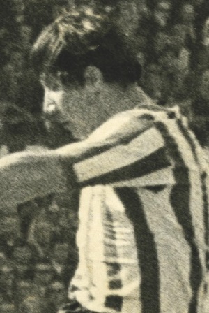 Theo van Toledo